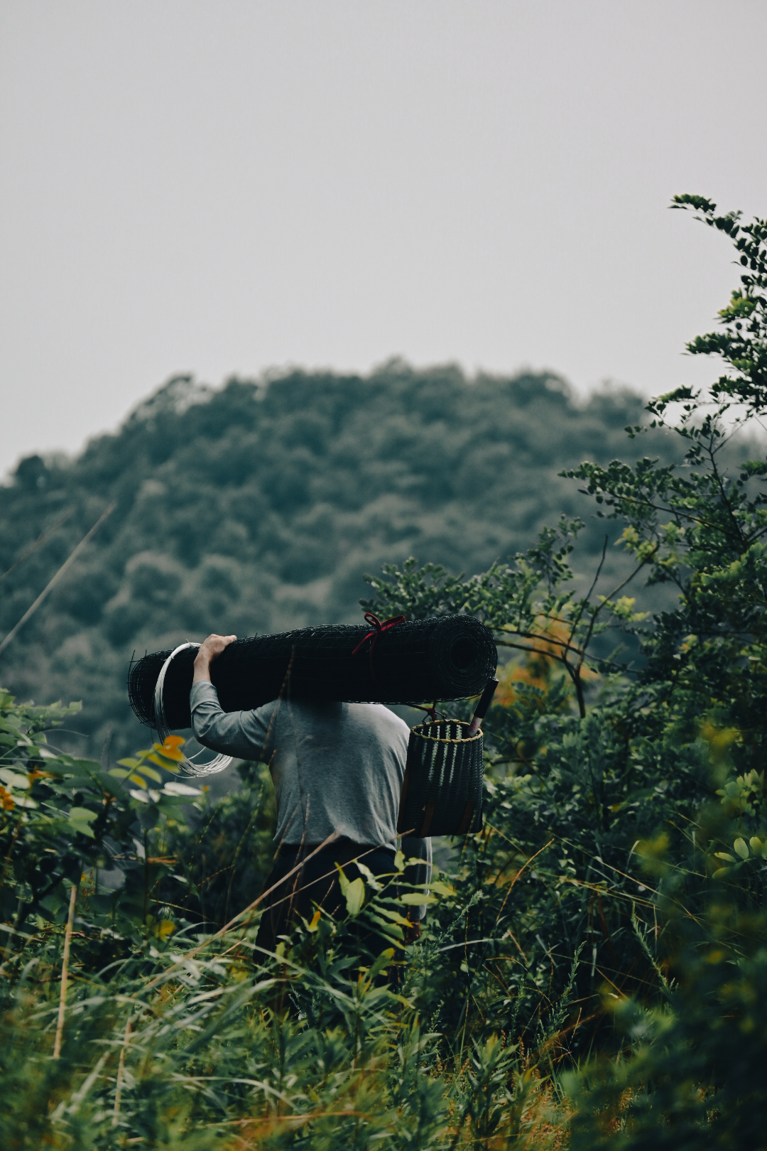 《果农》